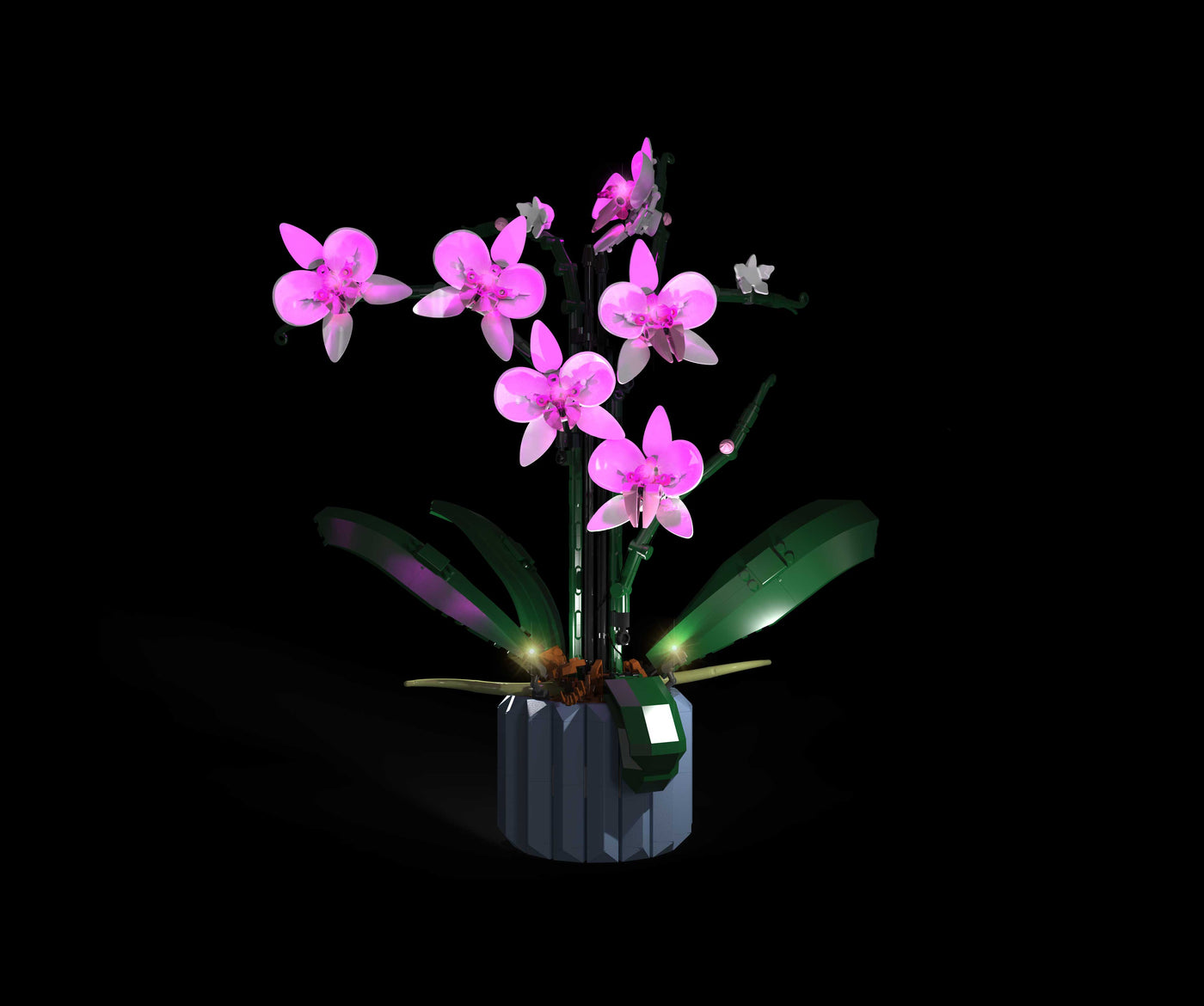 Orchid #10311 Light Kit | Night Mode
