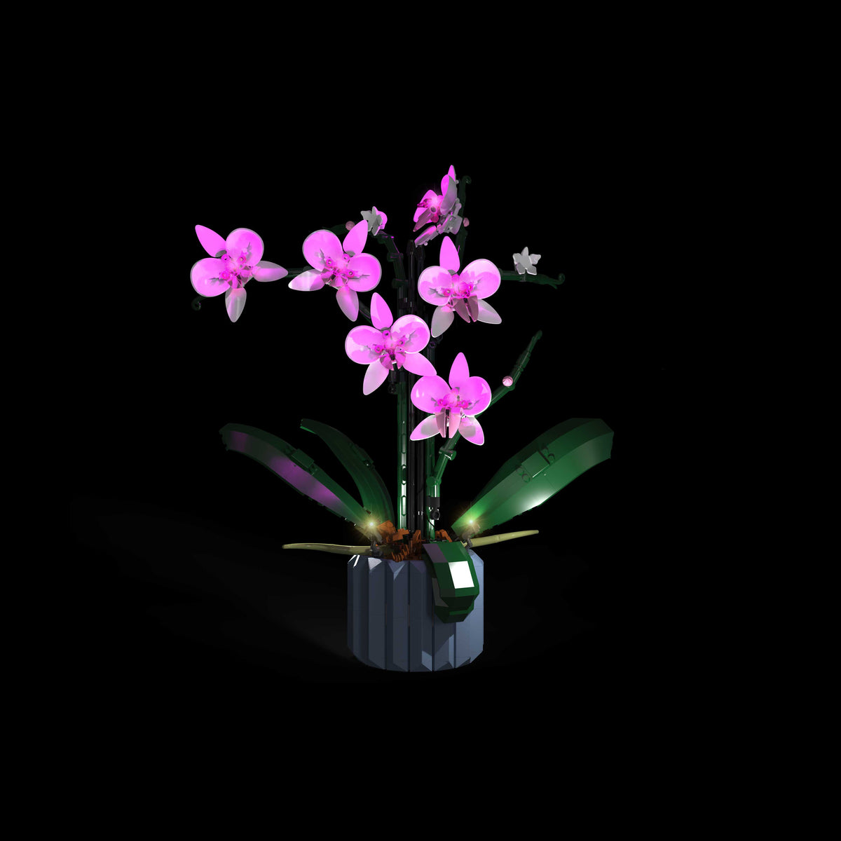 Orchid #10311 Light Kit | Night Mode