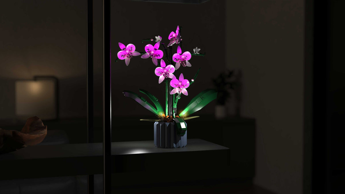 Orchid #10311 Light Kit | Night Mode